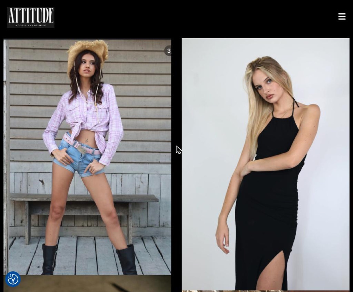 Anteprima del sito Attitude Models